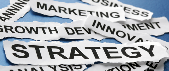 Complete SEO Website Report from a Authorized Google ...