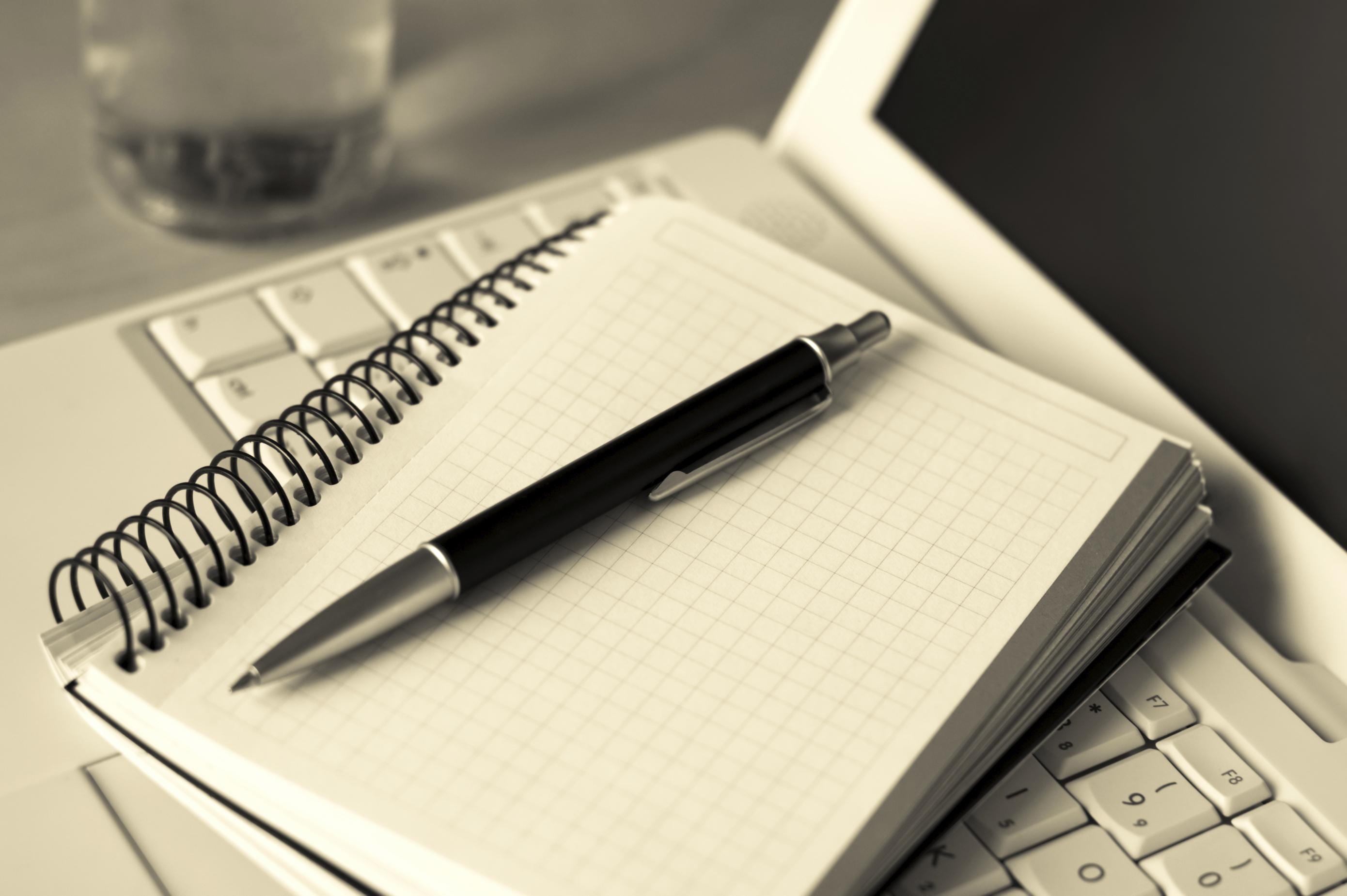 SELL YOU TOP QUALITY 800 BLOG NICHE PLR ARTICLES