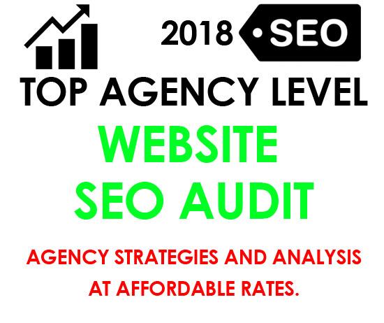 Top Tier Agency Level SEO Audit and website analysis ...