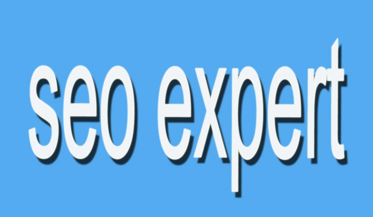 All In One Seo Linkbuilding Service With High Da Back...