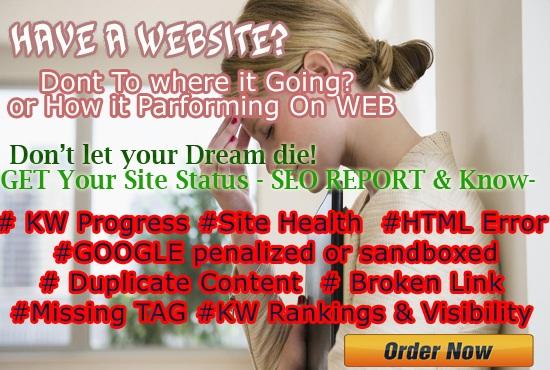 Give You Your Full Site SEO Report For Ranking Top