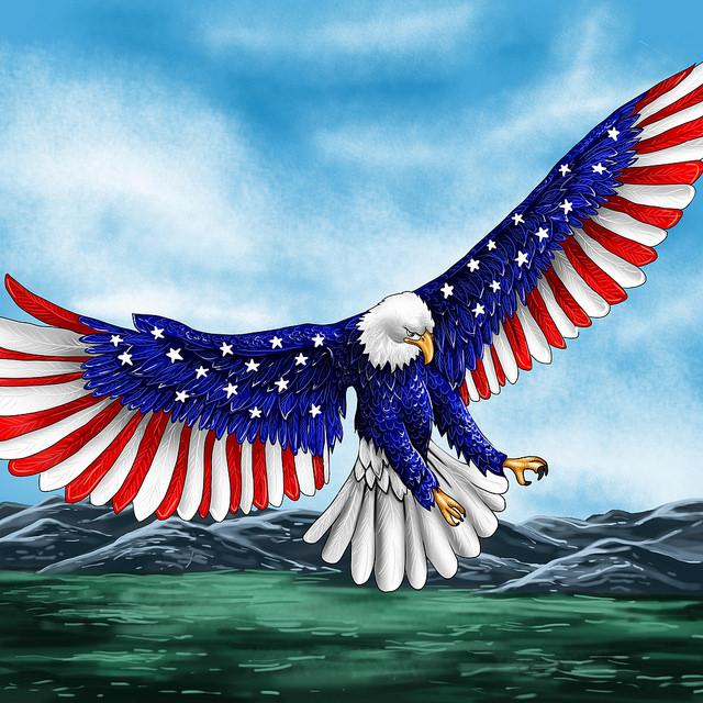 Logo design, mascot, icons, banner