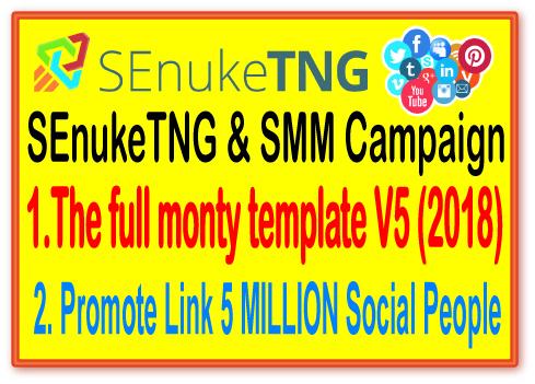 SEnukeTNG & SMM Campaign- The full monty template...