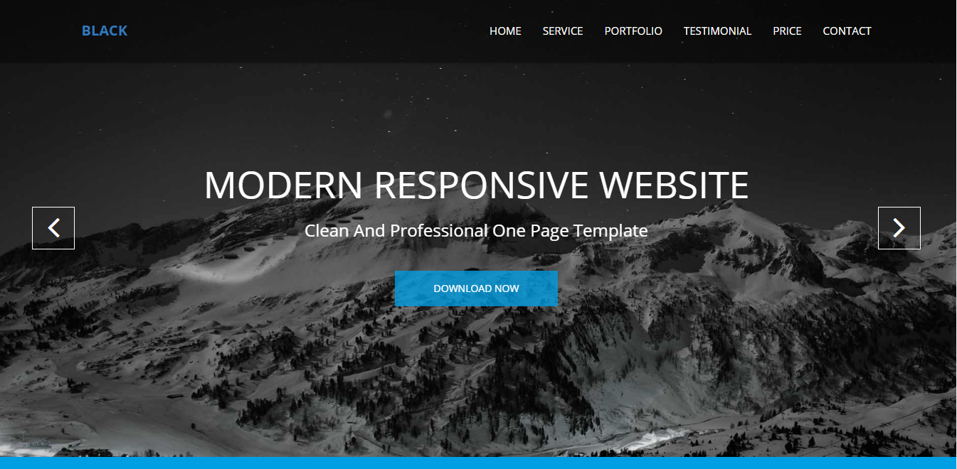 Design Modern Responsive Website In A Professional Ma...
