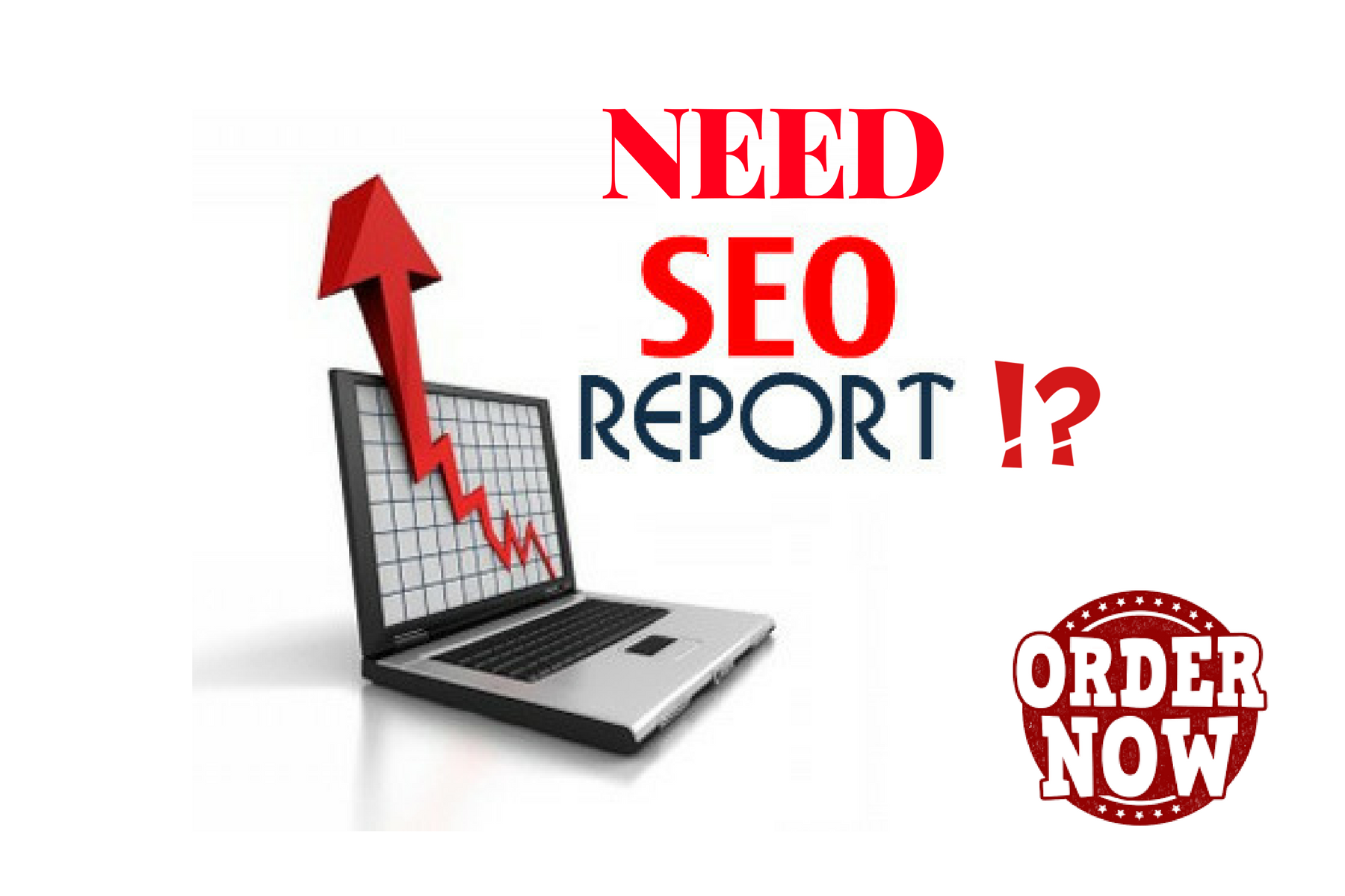 Audit your website & create a professional SEO re...