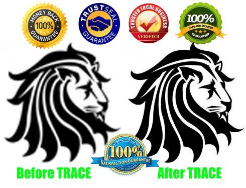 Vector Tracing Any Image Or Logo In 12hrs