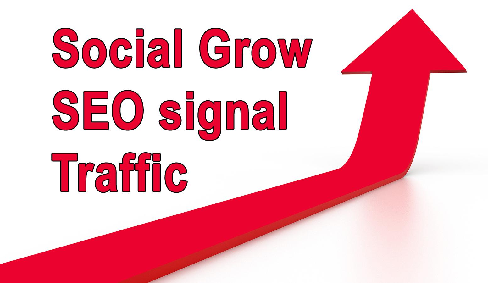 seo traffic work for you social or website to grow pe...