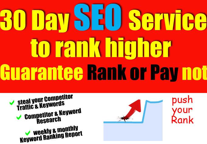 30 Days Full SEO Service Based On Success