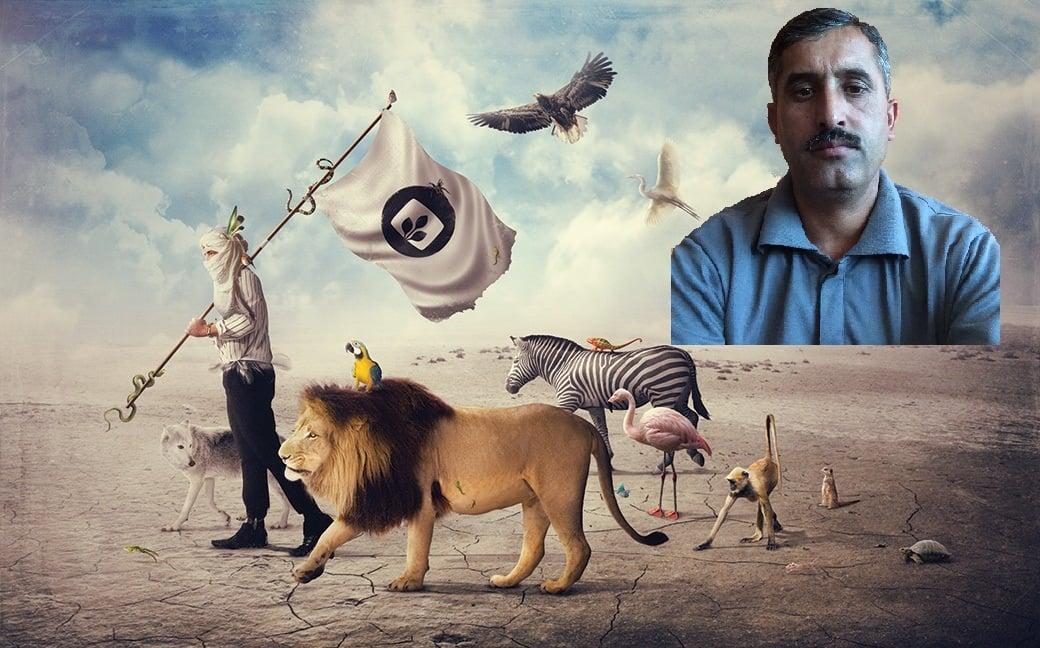 Remove Background or Enhance your Pictures Any 10 Ima...