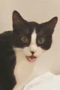 Record audio joke, audios are not erotic.