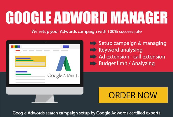 Create Google Adword Campaign and manage for 14 Days