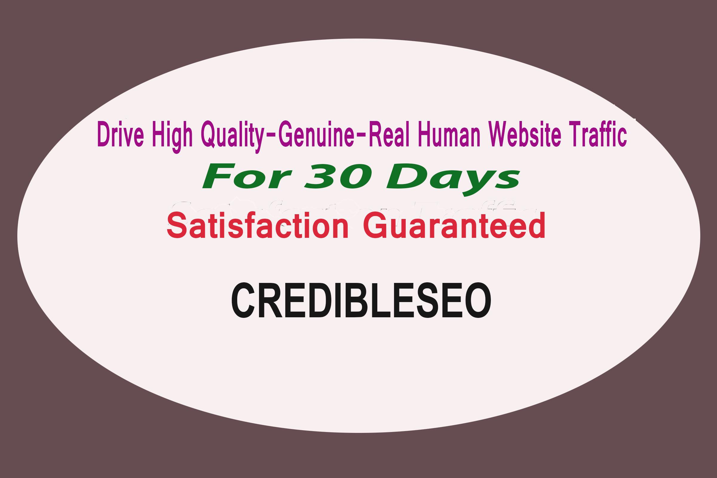 Provide High Quality, Genuine, Real Human Website Tra...