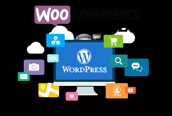 I will do wordpress and woocommerce customization