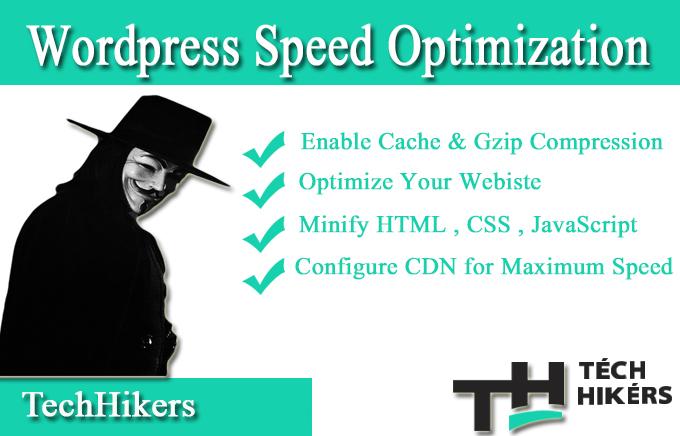 I will Do WordPress Speed Optimization To Elevate Goo...