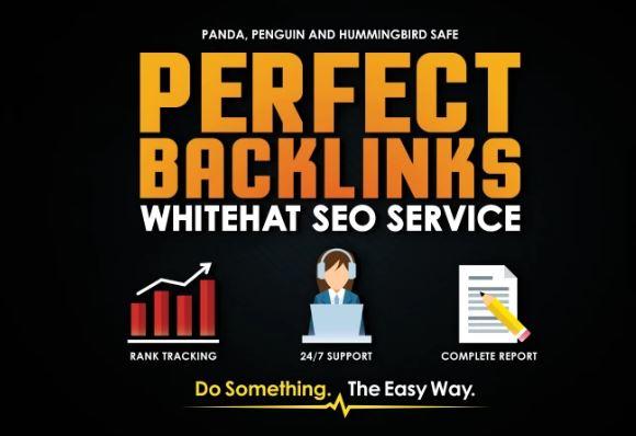 24hr Rank Higher in Google - Perfect High PR SEO Cont...