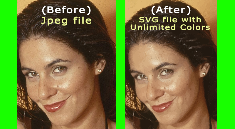 To vectorize Your Logo, Portrait, And Photo Profess...