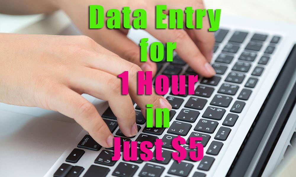 do data entry for 1 hour
