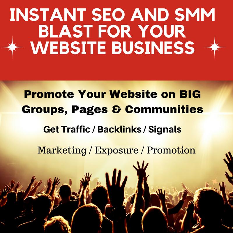 Do an Instant SEO and SMM Blast for Your Website Busi...