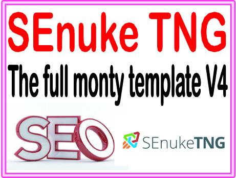 Get SEnuke affordable Campaign - The full monty templ...