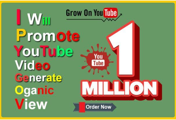 professionally promote you-tube video generate real t...