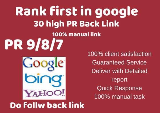 30 high quality premium back link top your site in se...