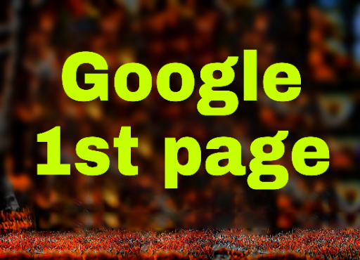 Google 1st page ranking with HQ white hat seo service