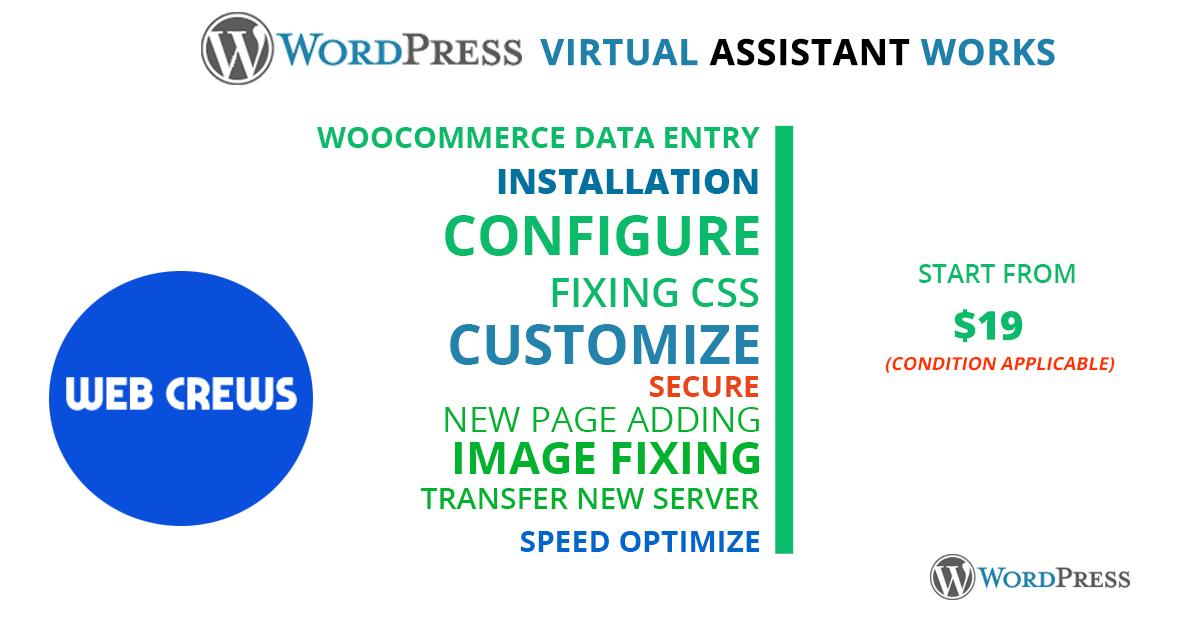 I will do 3 hours WordPress Professional virtual assi...