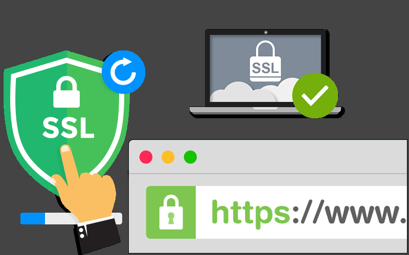 Install Free SSL Certificate For WordPress Or Any Web...