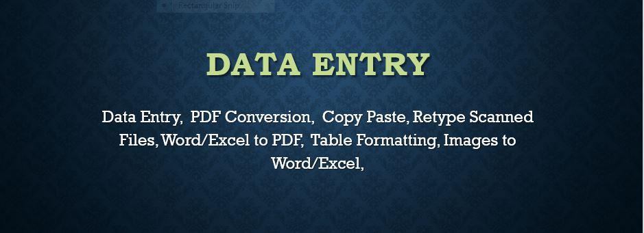 Do any Type of Data Entry, Excel Data Entry, PDF Con...