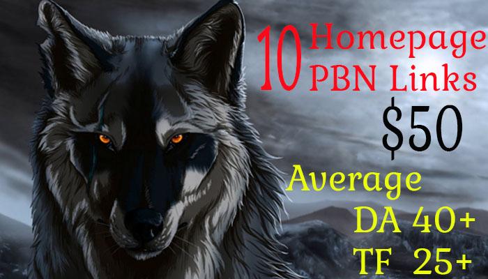Provide 10 home page pbn links da 40 tf 25
