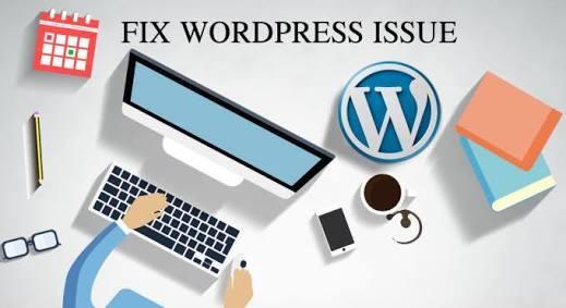 Fix Your WordPress Errors and Get Your Site Up and Ru...