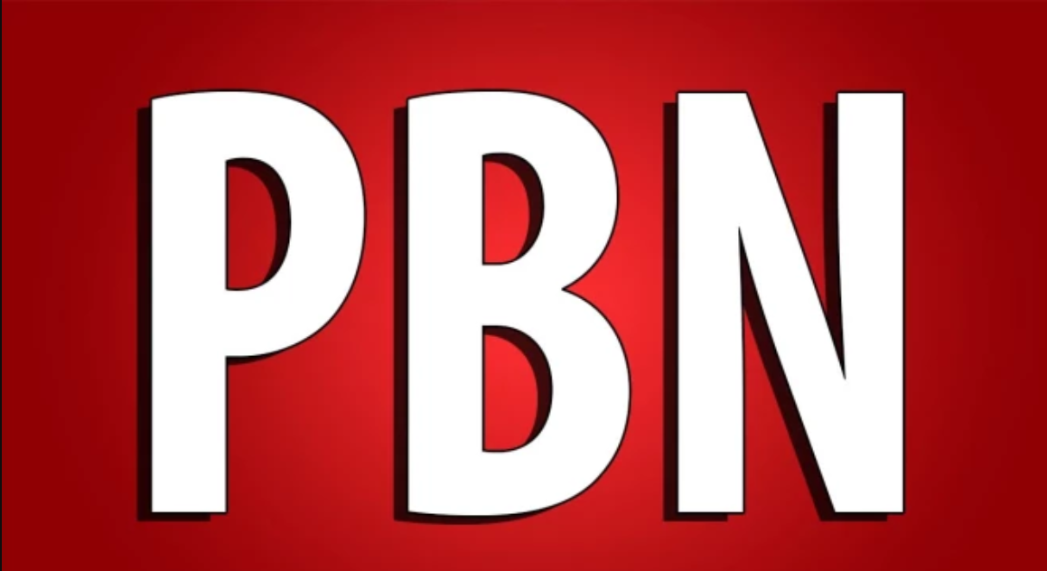 Build Upto 100 Permanent Pbn Links Of Tf 30 And Da 40...