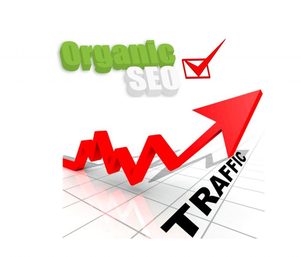 Drive 120,000 Organic Sales Traffic to your e-commerc...