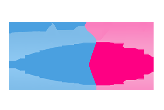 Handmade 12 Web 2.0 Buffer Blog with Login, Unique C...