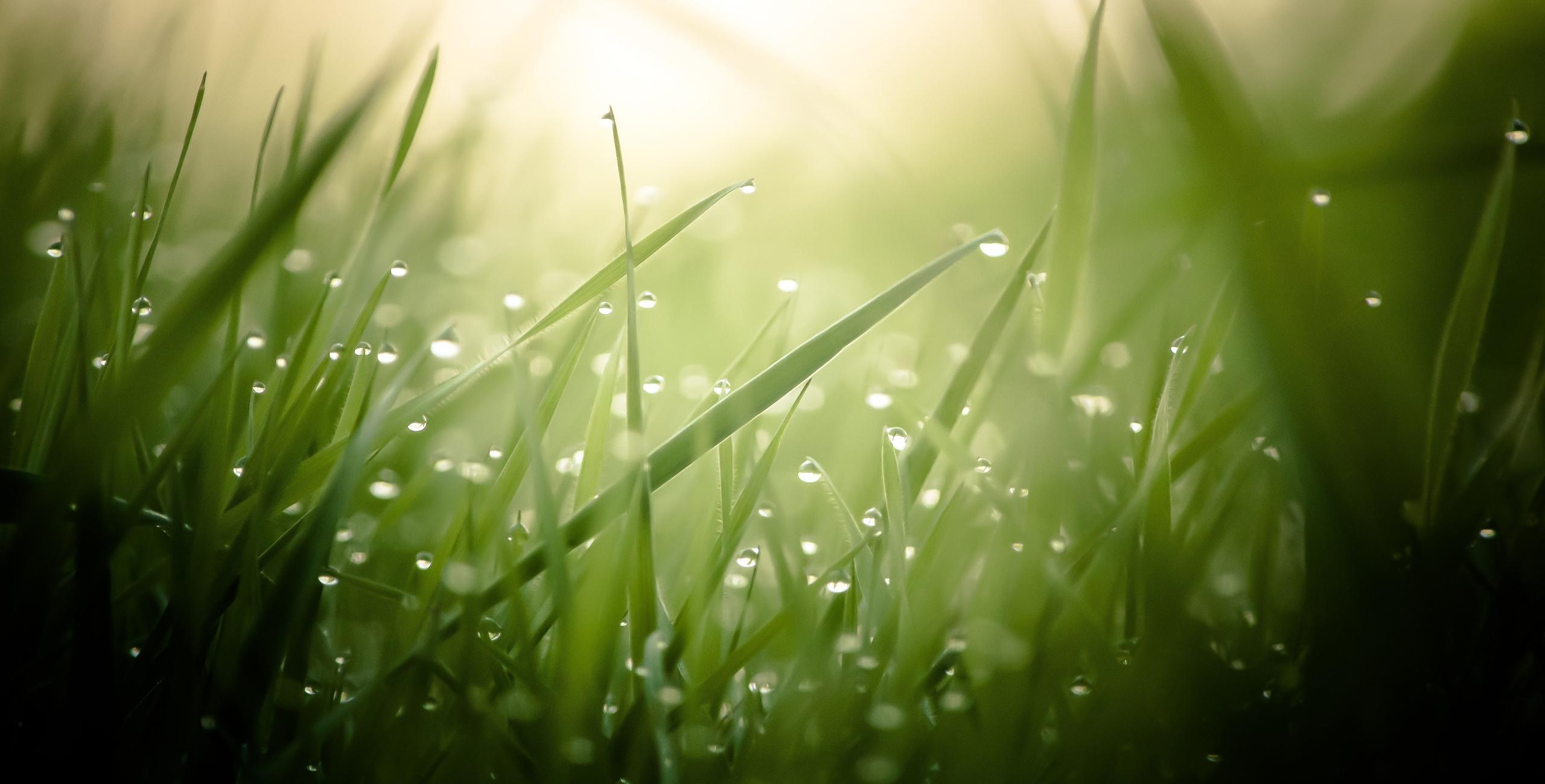 Advertising your website for one full month