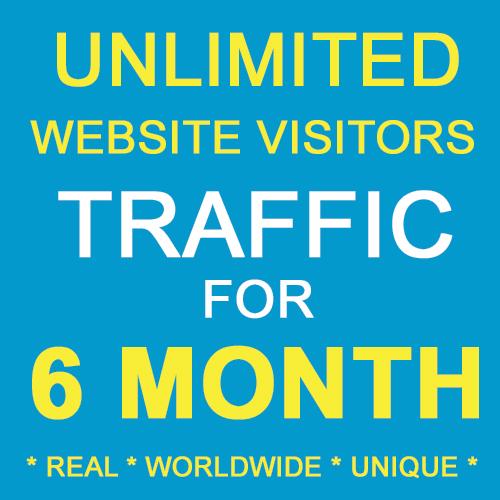 SIX Month Unique Traffics with ALEXA RANKING IMPROVEM...