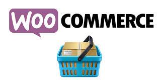 Build woocommerce store and give FREE hosting for 1 y...