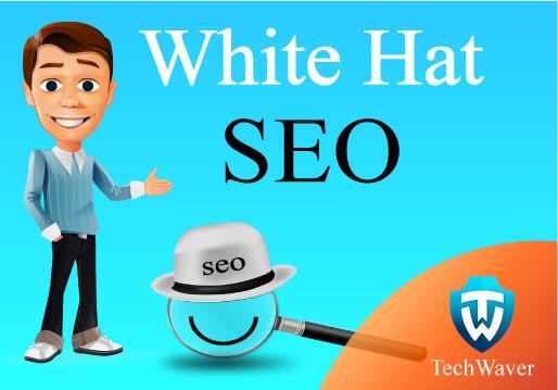 All in One Starter Package - White Hat SEO TOP Google...