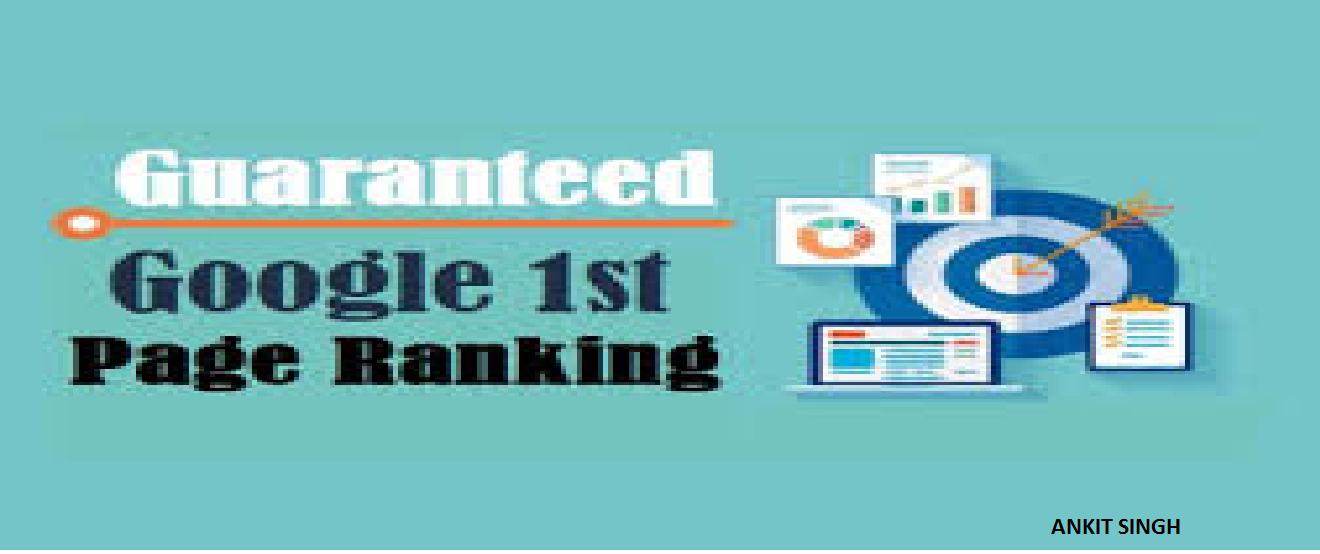 SEO Services - 100 Keyword Rank Guarantee On Google