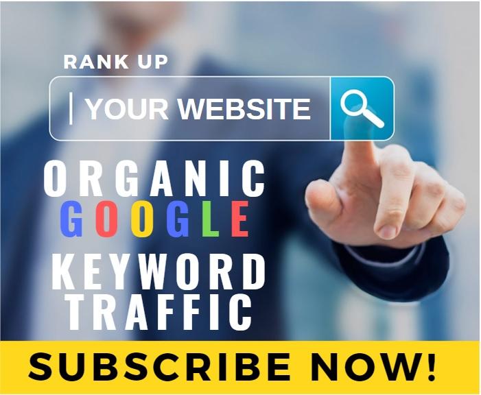 Organic Google Keyword Ranking Website Traffic Monthl...