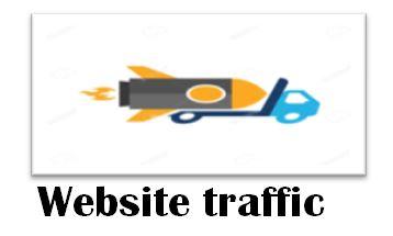 will Give you 1000 real Worldwide website traffic vis...