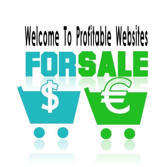 Ebay B2B Reseller Business, Silver Package