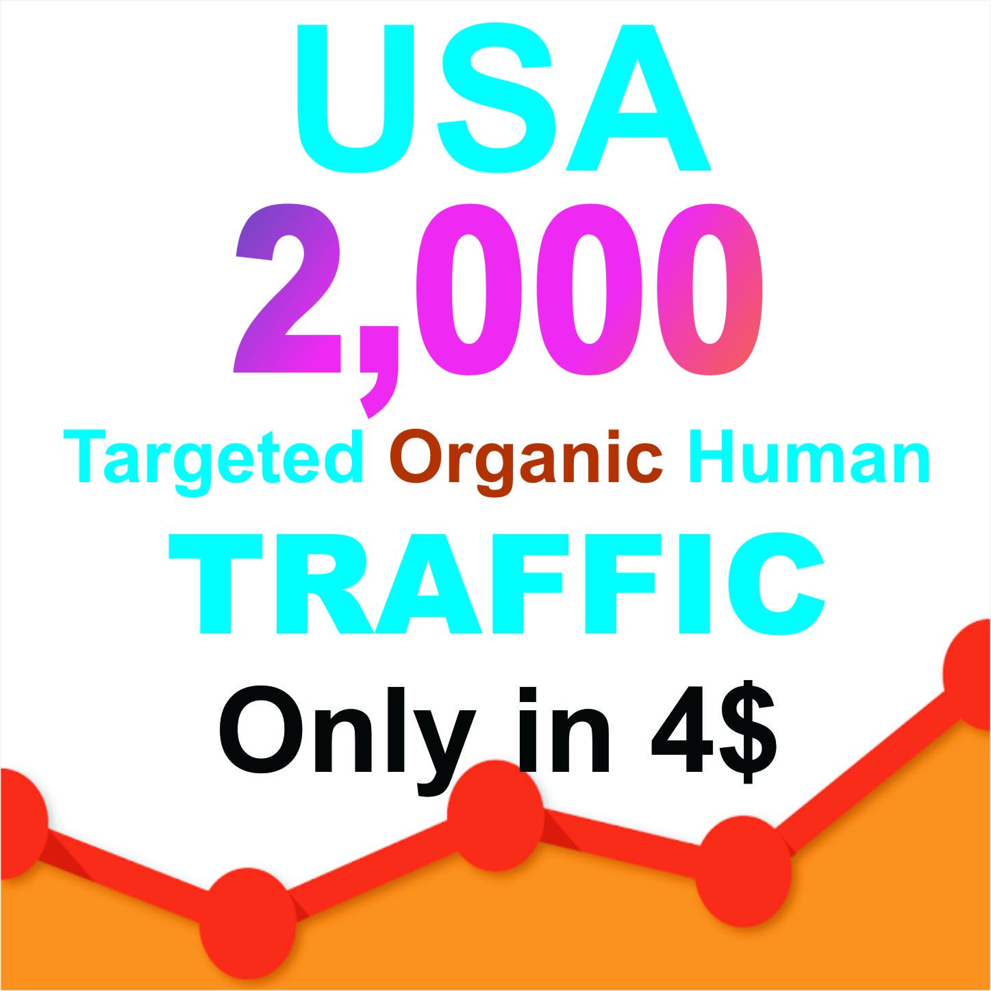 Drive 2000 Niche Targeted Visitors Website Human Traf...