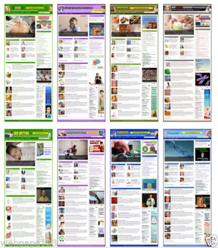 Fully Automated Any Niche blog website for sale AUTOP...