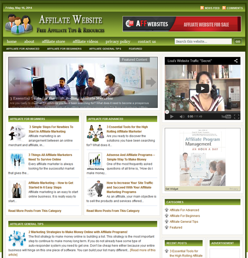 Fully Automated Wordpress Affiliate Marketing Website...