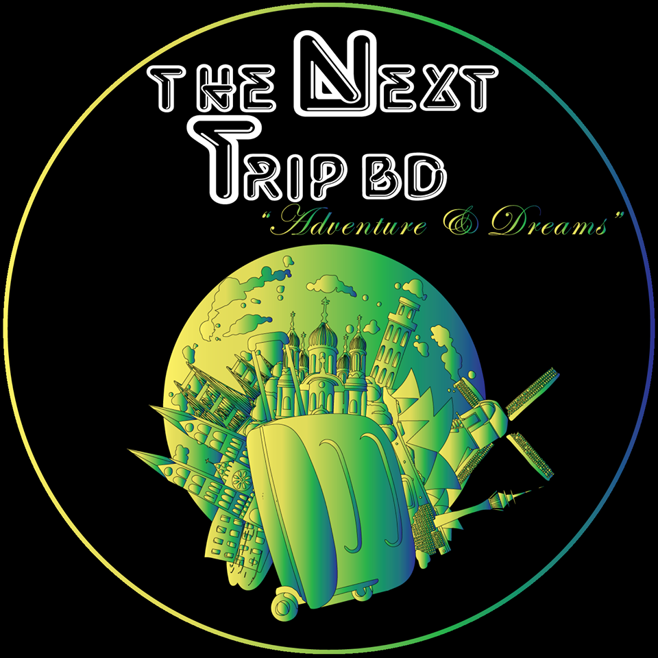 Create Professional Impressive Word Press Web Site