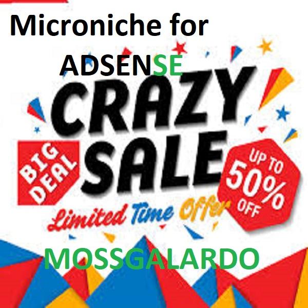 make wordpress unique adsense niche site for you