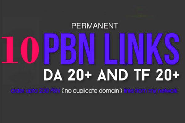 Create 10 Unique SEO Backlinks On High Quality Pbn Si...