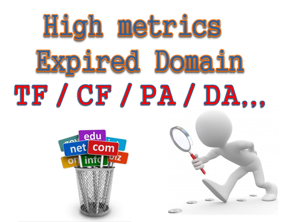 Research the best expired domain for you.