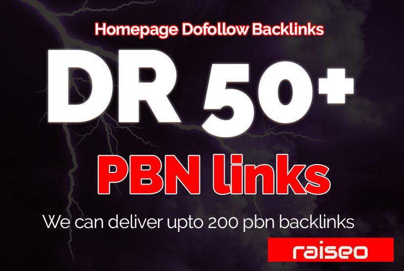 Provide you 10 Backlinks DR 50+ PBN Homepage High Aut...